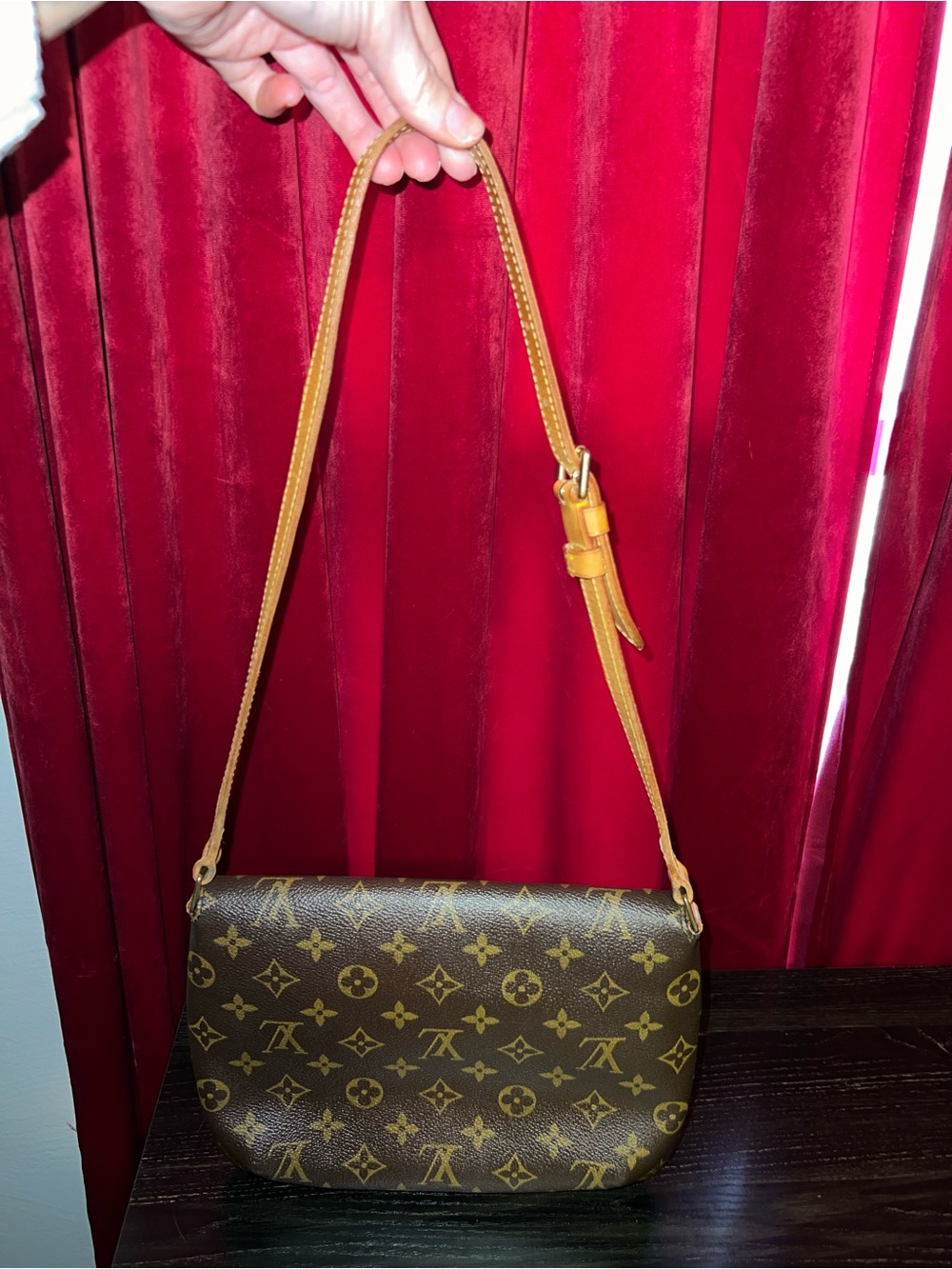 Louis Vuitton Monogram Canvas Small Shoulder Bag in Brown and Tan